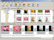 Alive Flash Slideshow Maker screenshot